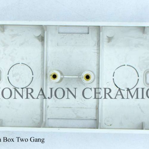 Gang Switch Box Two Gang