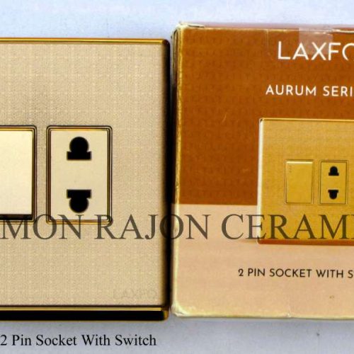 AURUM Series 2 Pin Socket With Switch